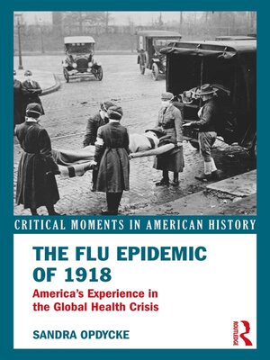cover image of The Flu Epidemic of 1918